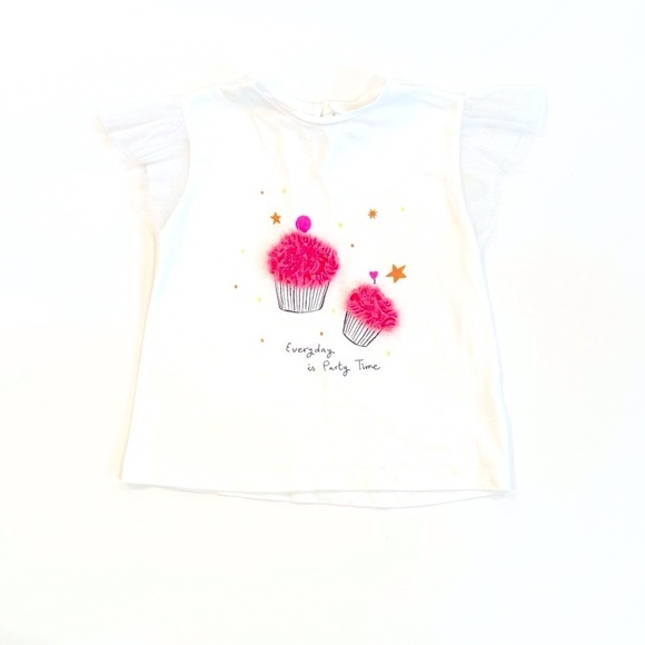 Zara Other - Zara 3-4T Tulle Sleeve Top